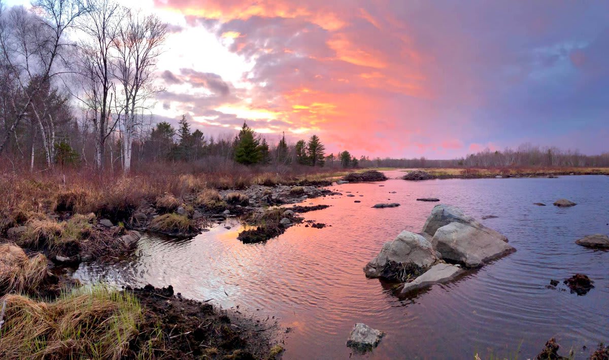 Cotton candy skies melt into a blissful sunset at Moosehorn National Wildlife Refuge. This coastal Maine refuge is part of the Atlantic Flyway, a migratory bird route that stretches from Greenland to South America
