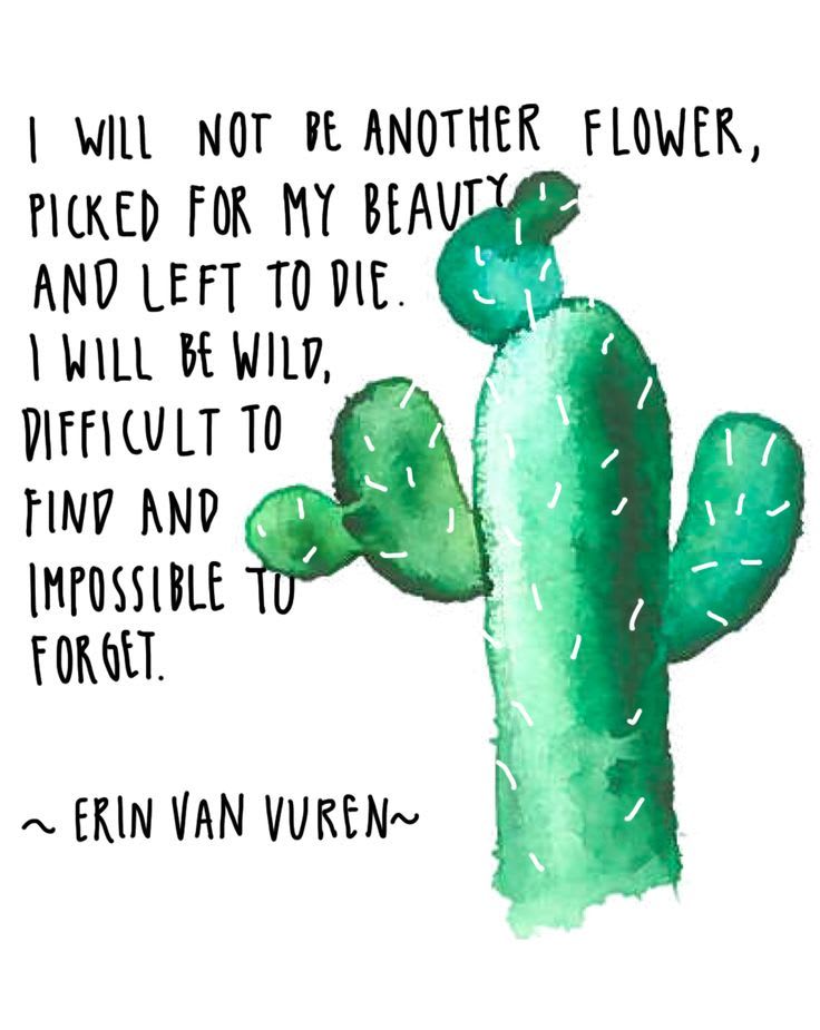 quotes about cactuses - Google Search | Cactus quotes, Vuren, Quotes