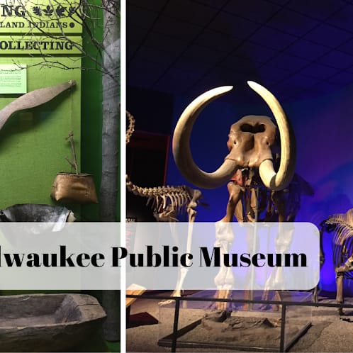 Exploring Natural History and Culture at the Milwaukee Public Museum