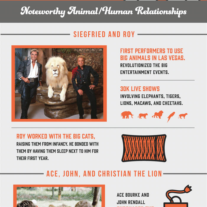 9 Life Lessons from Remarkable Human and Animal Relationships [Infographic]