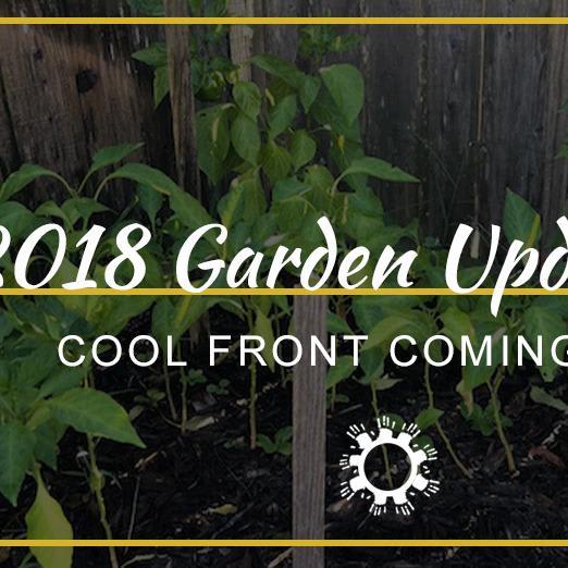 2018 Garden Update #21: Cool Front Coming Soon
