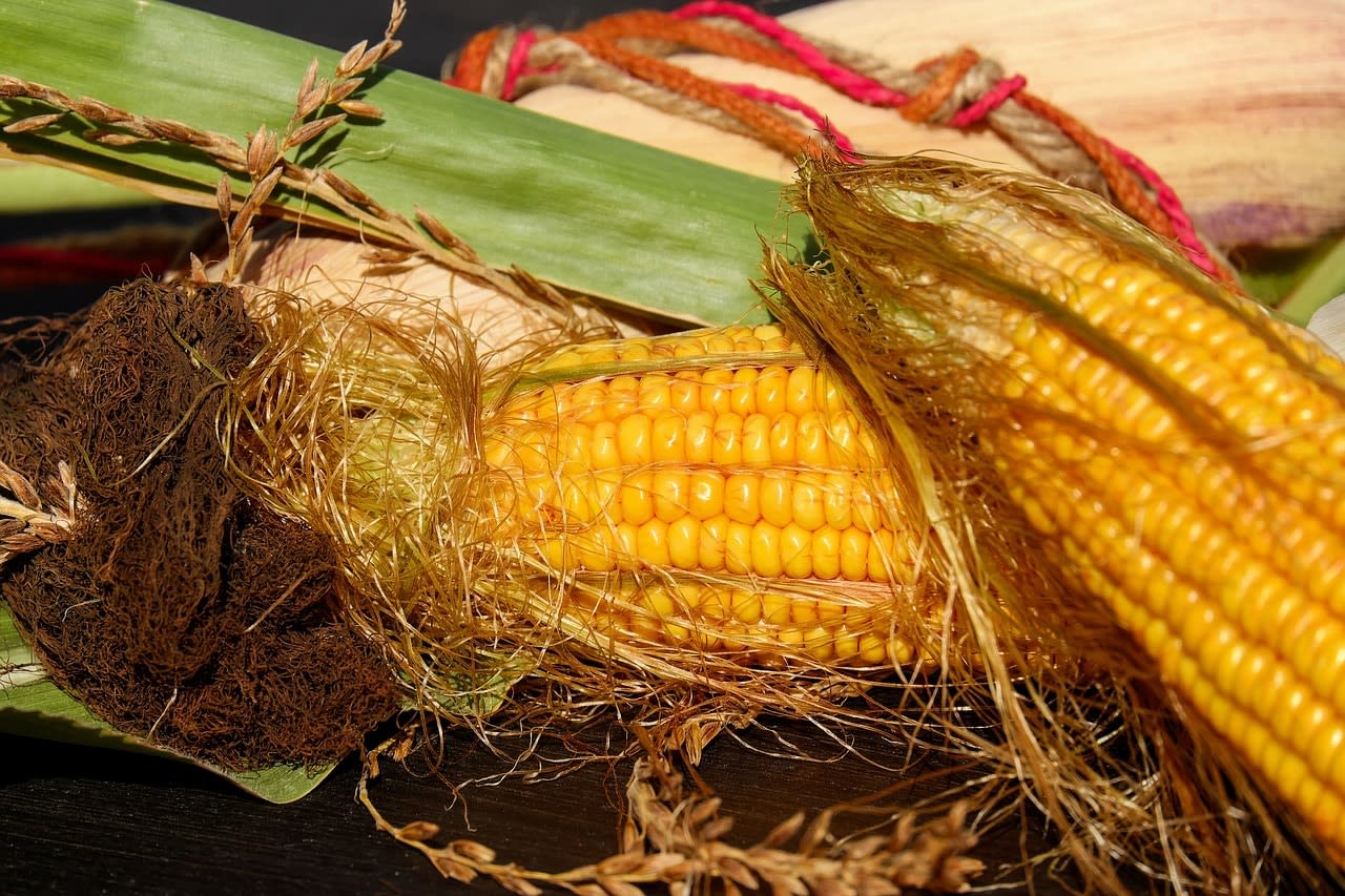 Five Amazing corn Benefits you need to know in 2019