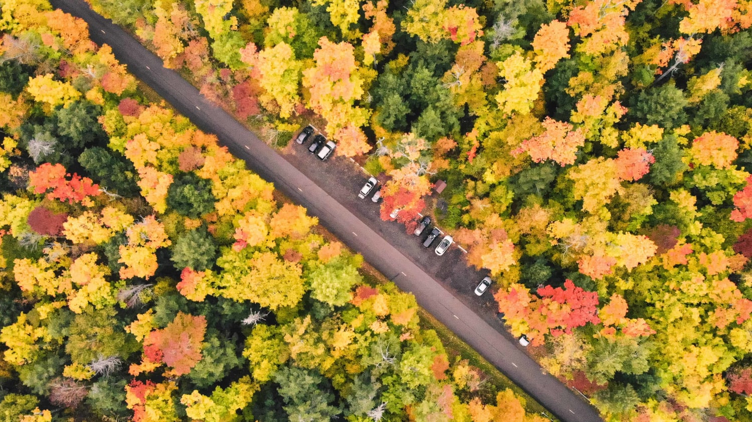 Best Fall Foliage Drives in Michigan