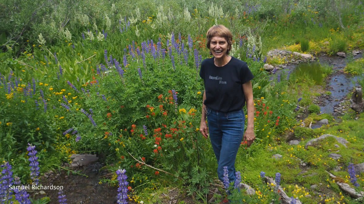 HONORABLE MENTION, 2020 @Garden4Wildlife Photo Contest: "My mom in a field of wildflowers," Samuel Richardson of San Jose, California.