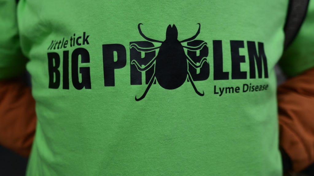 Lyme Vaccines Show New Promise, and Face Old Challenges