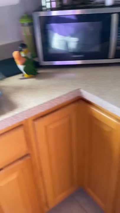 Tiny Caique knows what they want...