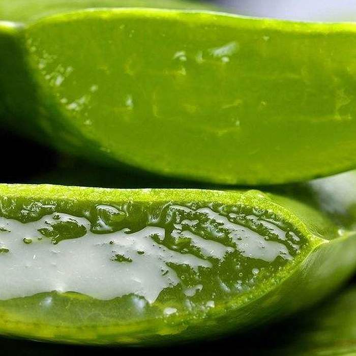 Is it Safe to Take Aloe Vera When You're Pregnant?
