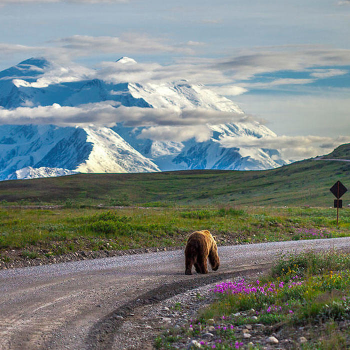 Why Your Next Adventure Trip Should Be to Alaska
