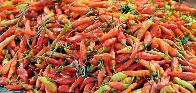 How Hot is That Pepper? How Scientists Measure Spiciness