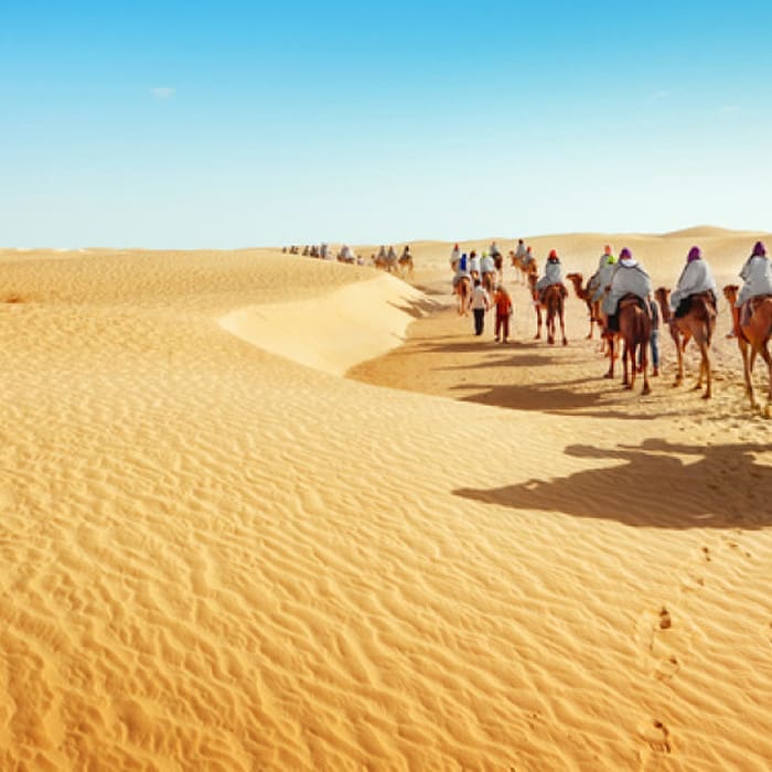 desert egypt