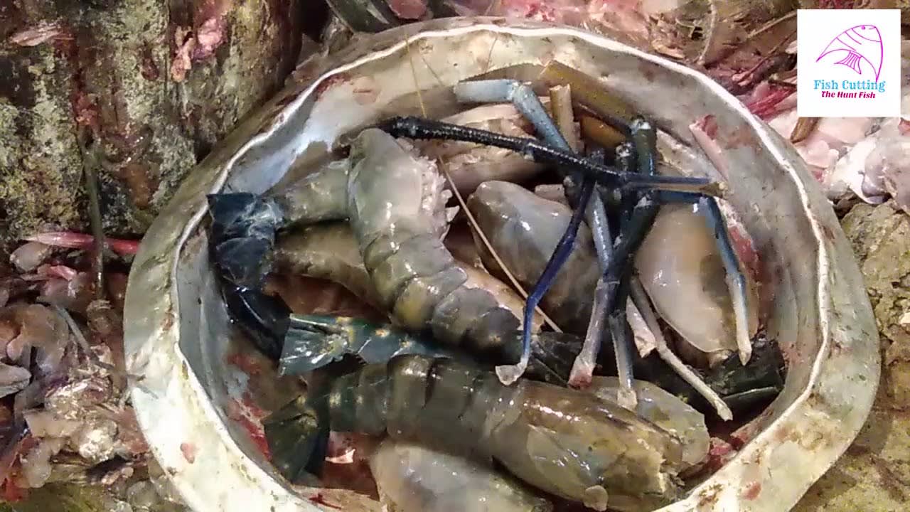 How to cutting & clean Big Shrimp fish in the fish market *new technic*