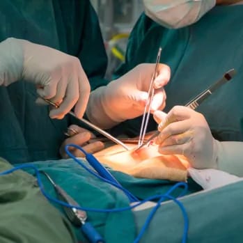 B.C. surgery wait lists larger than population of some cities: report