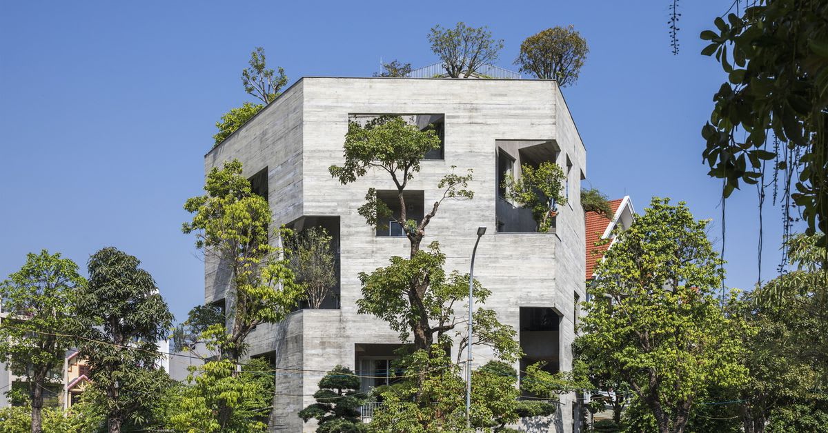 This concrete house is growing a mini forest inside its walls