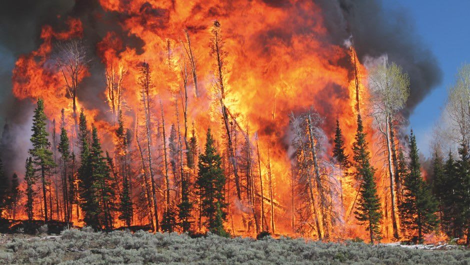 Wildfire science: computer models, drones and laser scanning help fan the flames and prevent widespread devastation