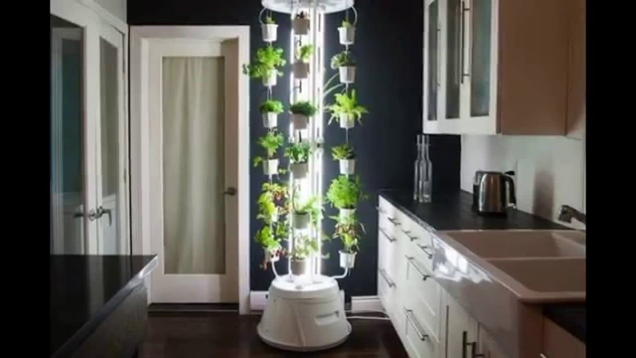 Ten Innovative Indoor Gardening Ideas