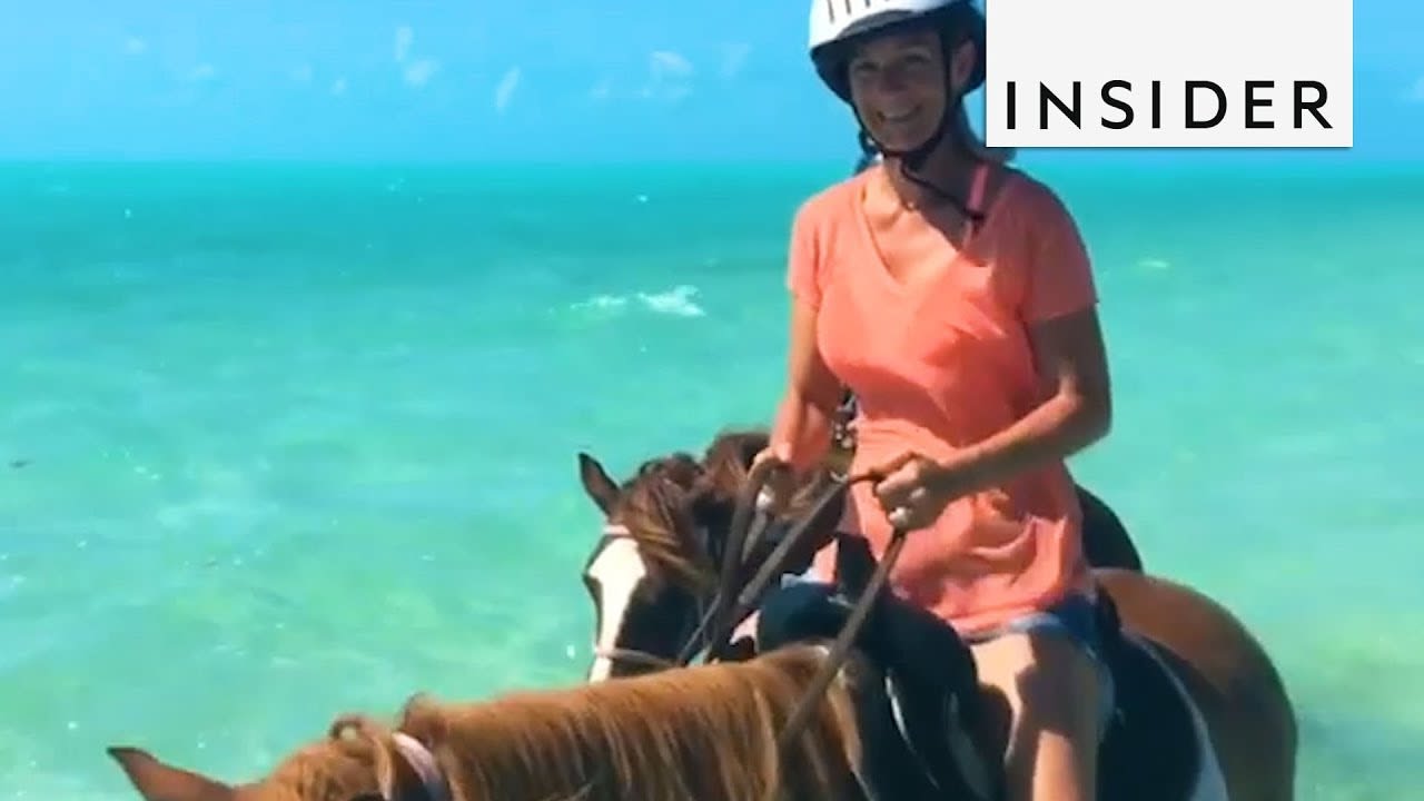 Ride Horses in the Caribbean