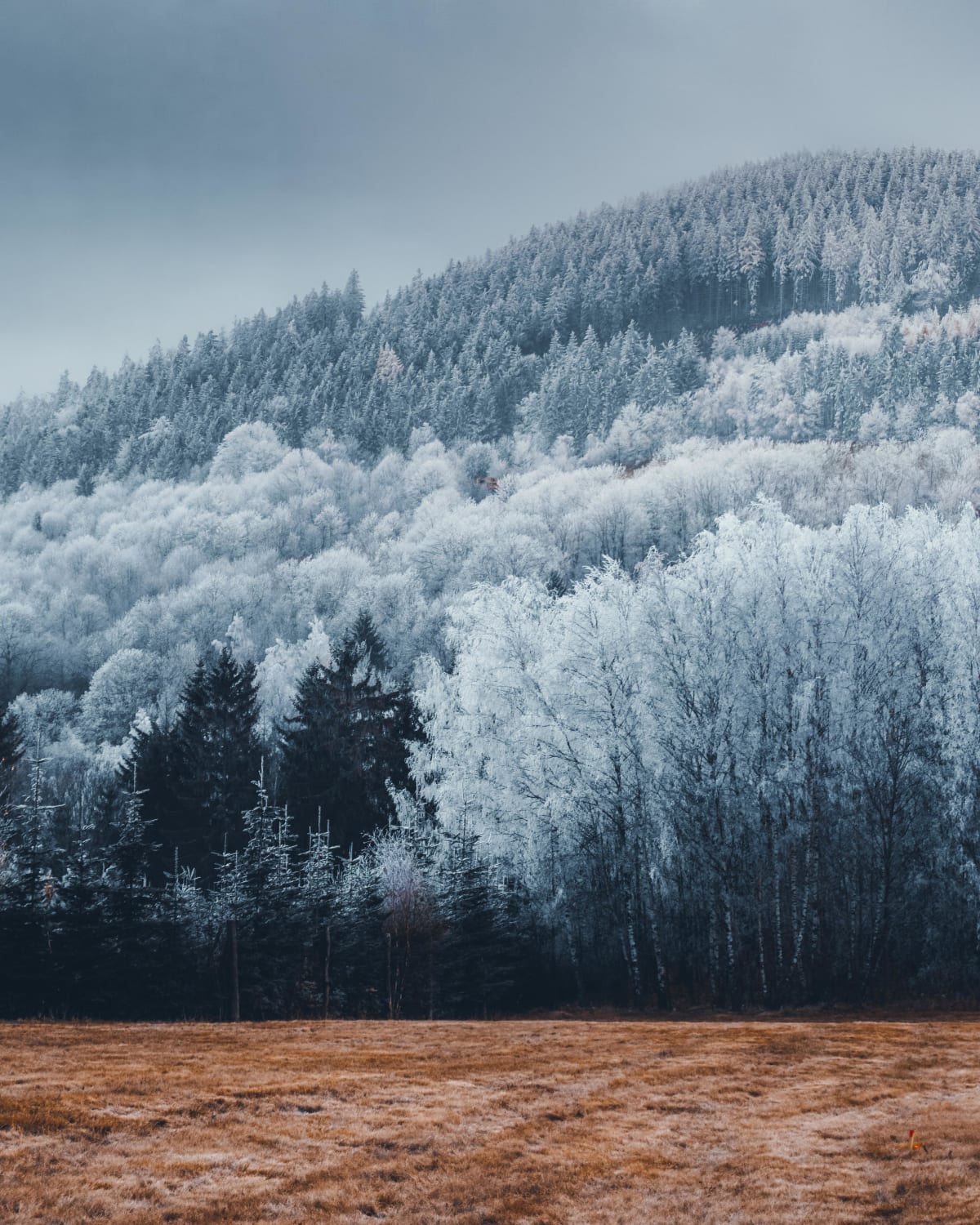 ITAP of a beautiful frosty day in Czech Republic mountains