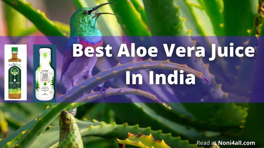 Have Nourish Aloe Vera Juice In Best Aloe Vera Juice? (Out Of 5)