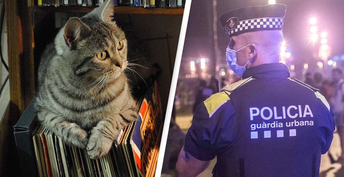 Noise Complaint Leads Police To Find Cat Home Alone Blasting Music