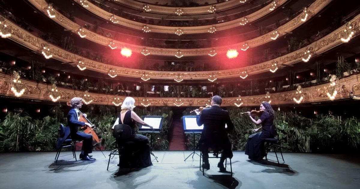2,292 house plants treated to stirring Puccini concert at Barcelona opera house