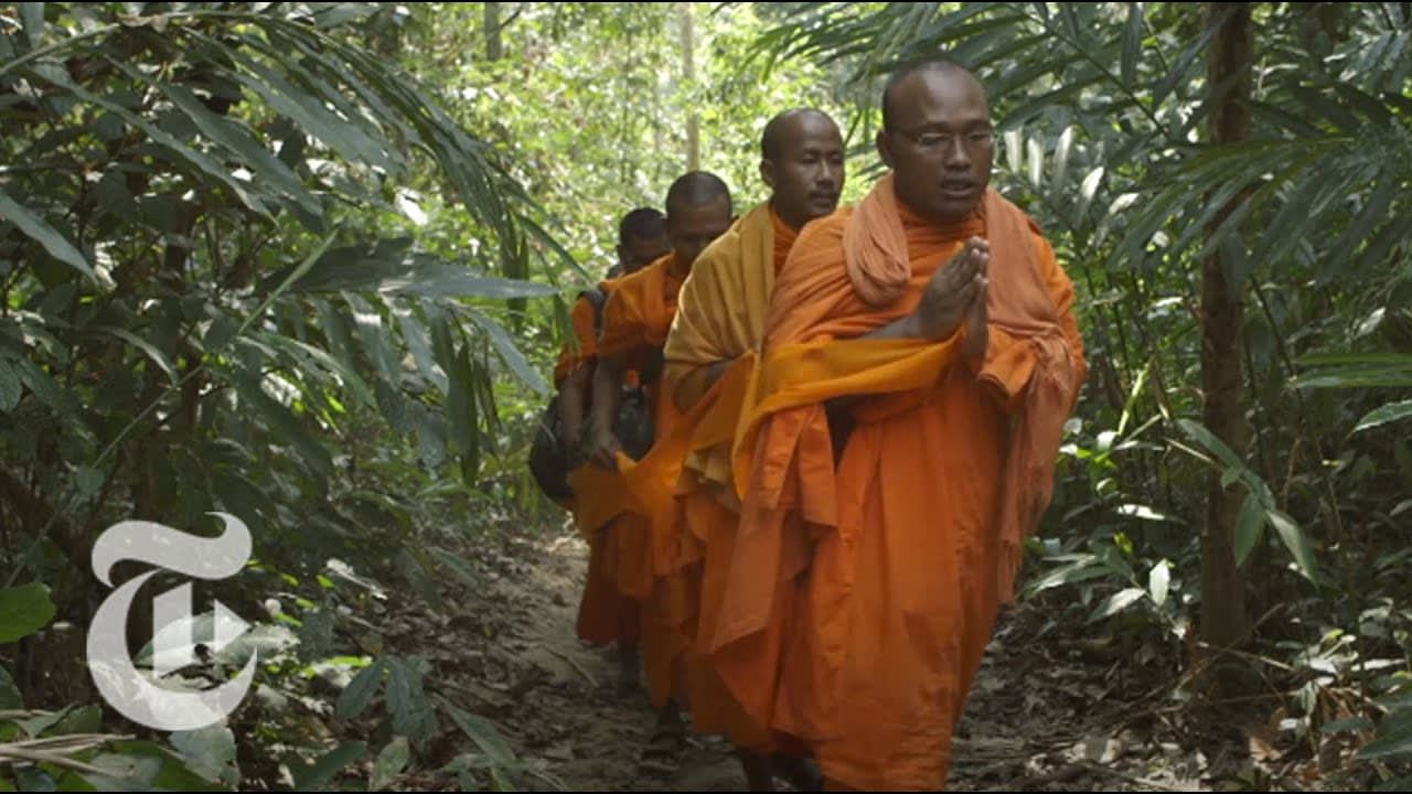 A Threat to Cambodia's Sacred Forests | Op-Docs | The New York Times