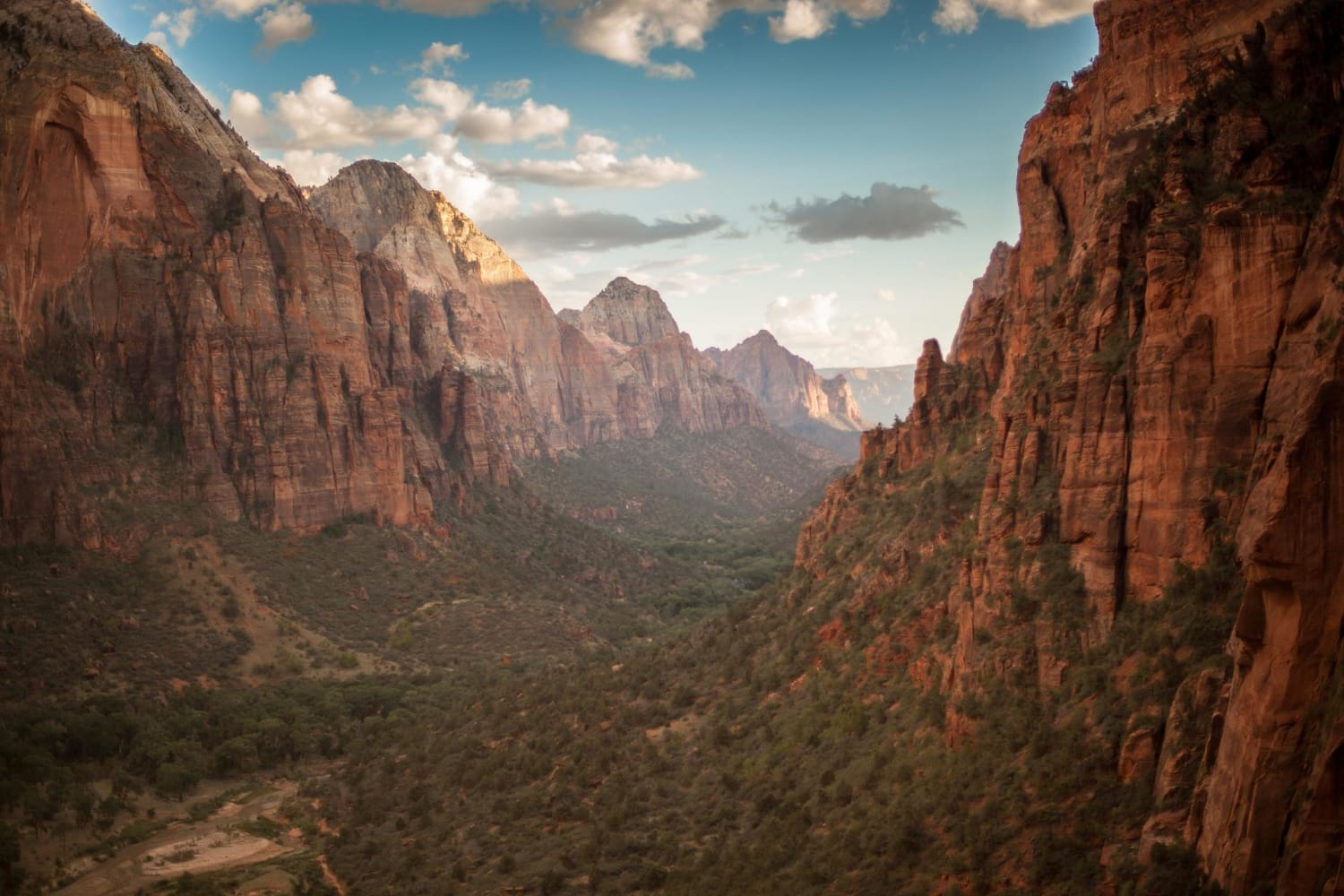 10 of the Best Hiking Trails in Zion National Park