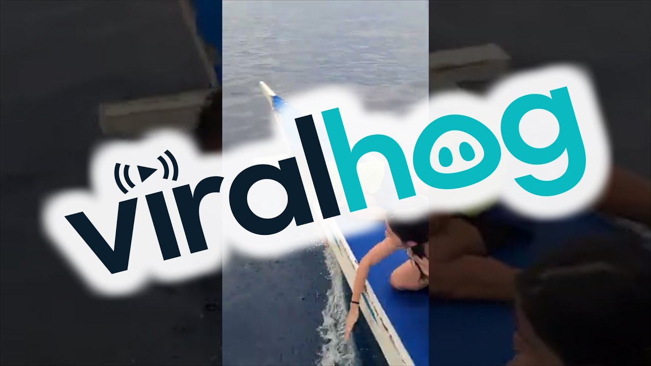 Boat Island Hopping Gets Close Encounter with a Dolphin Pod || ViralHog