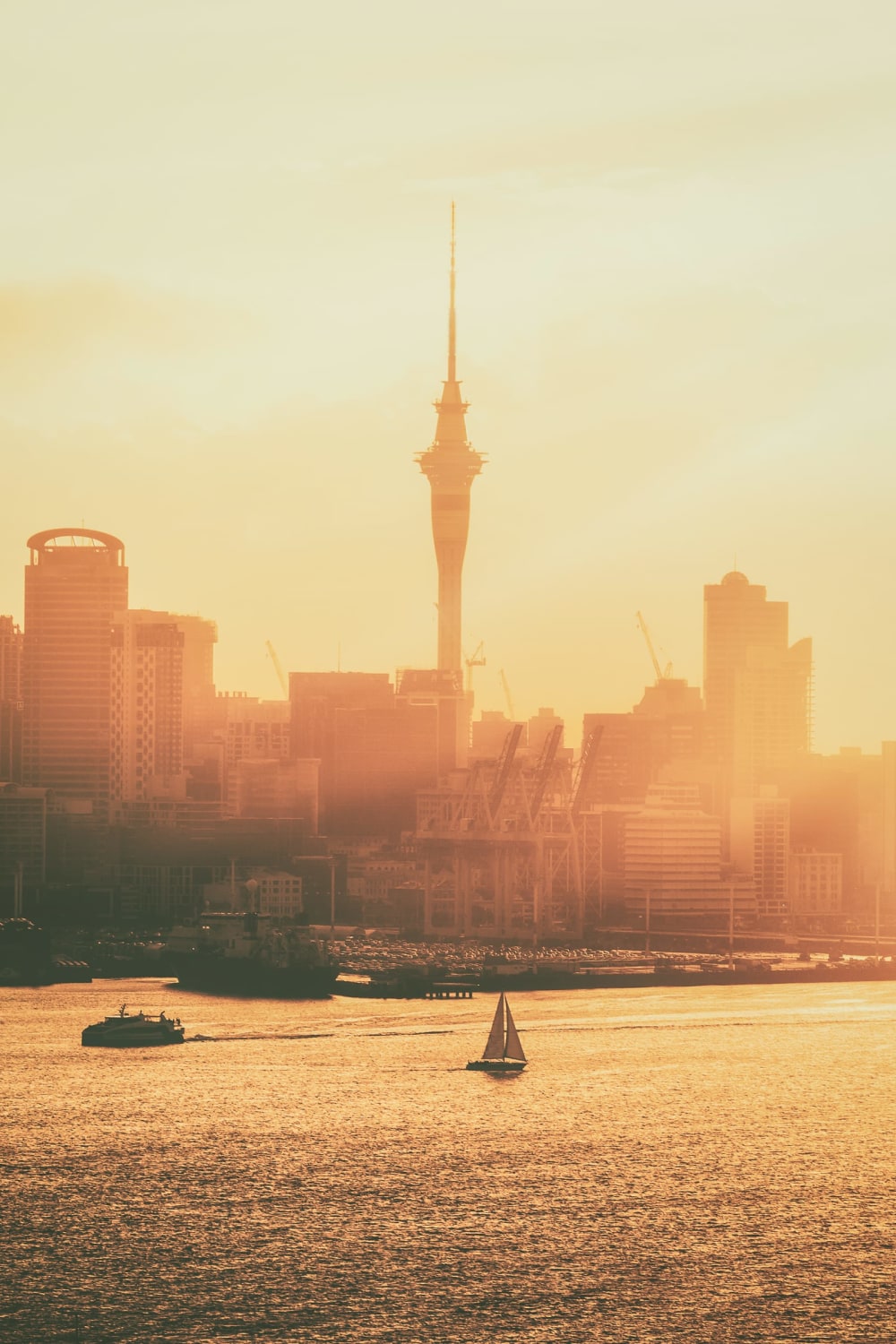 11 Of The Best Things To Do In Auckland, New Zealand