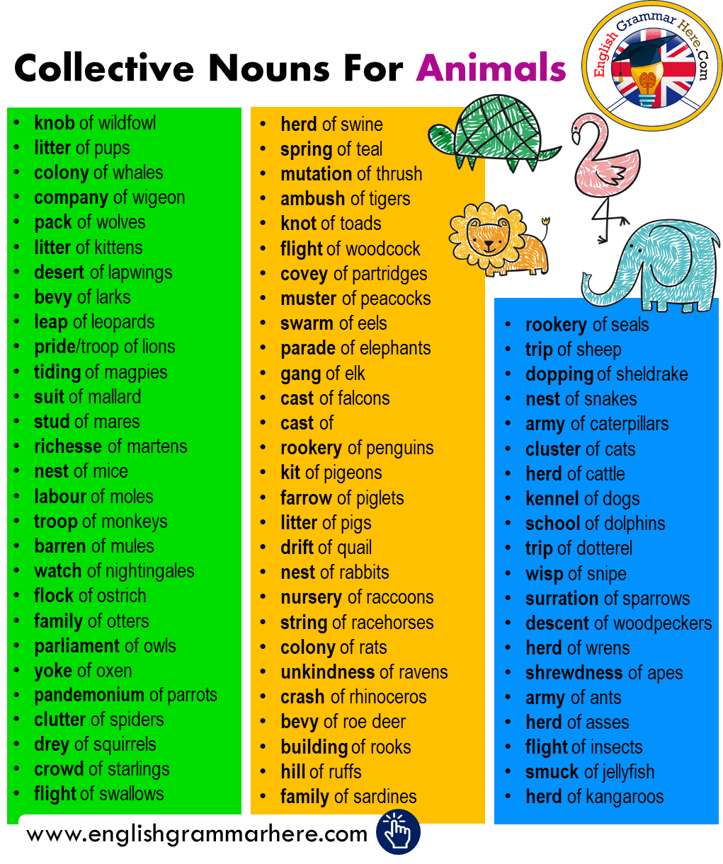 Found this helpful list of collective animal nouns