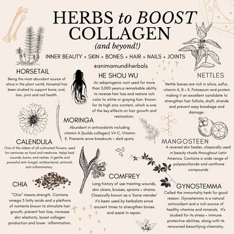 What is "Vegan Collagen"? And, How Can I Boost Collagen Naturally?