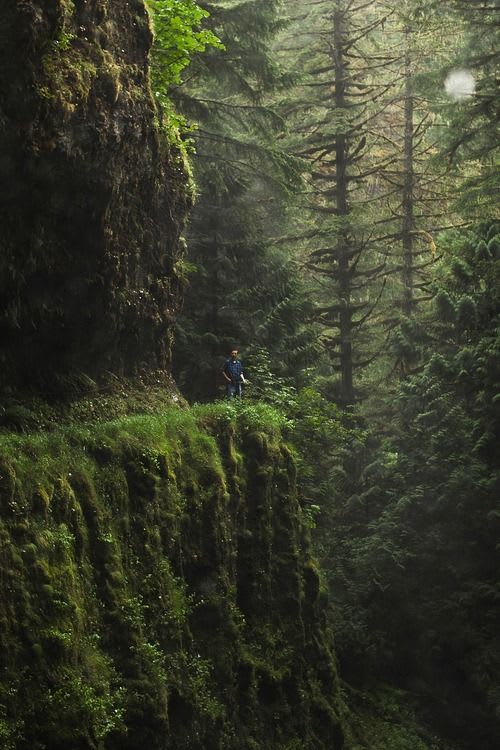 Eagle Creek Trail, Oregon. As you hike through the forest and along paths carved into the basalt cli… | Beautiful places on earth, Places to visit, Beautiful places