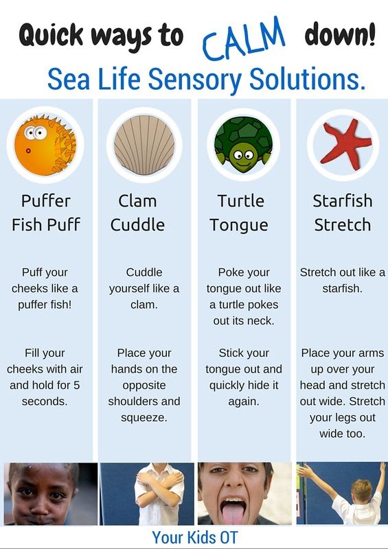 QUICK WAYS TO CALM DOWN! Sea life sensory solutions!