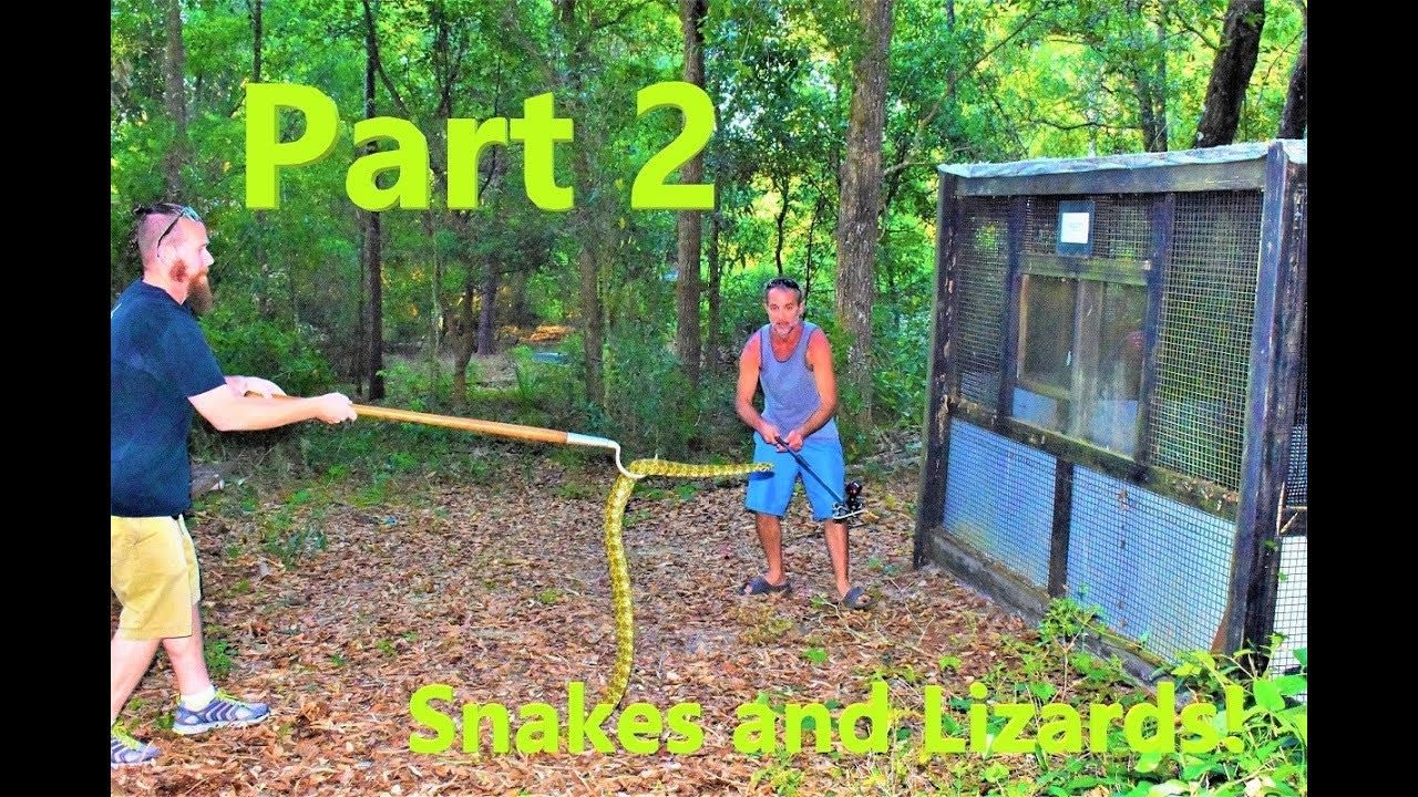 Crazy Critters Goes On A Field Trip Part 2 Snakes and Lizards!