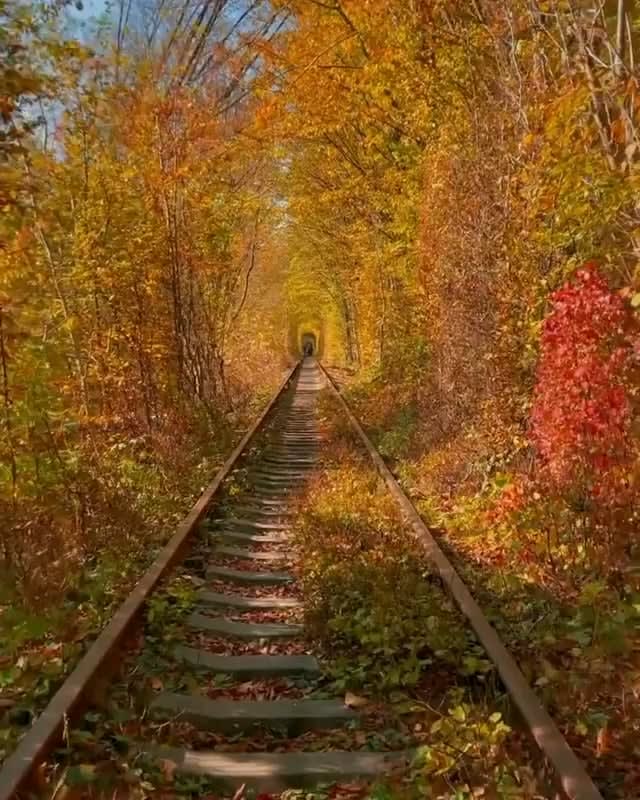 Old train tracks in autumn