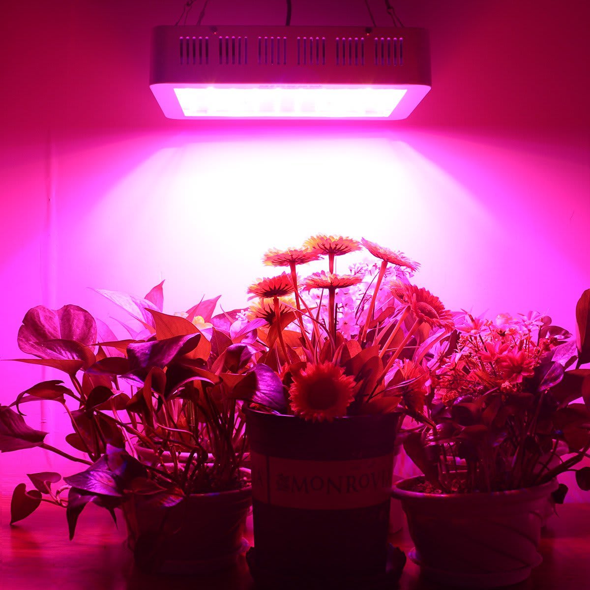 Morsen 1200W LED Review For Your Indoor Garden(Updated 2019)