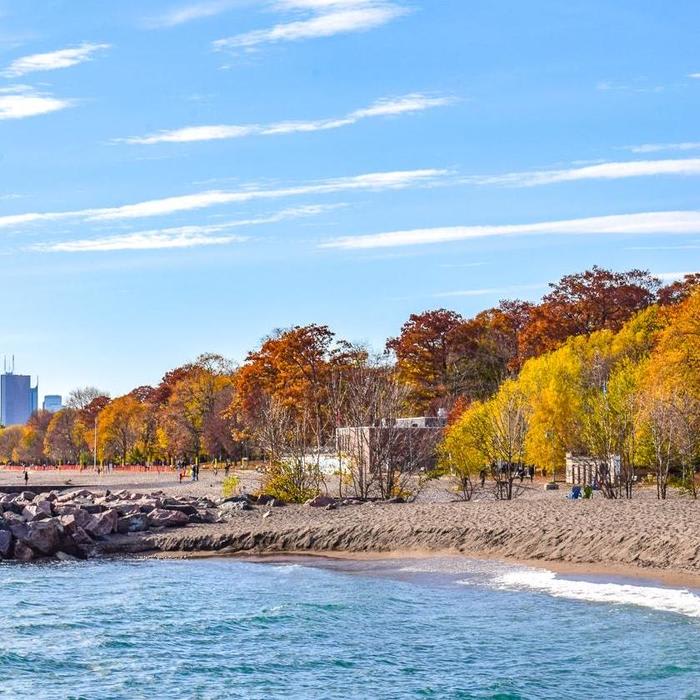 27 Toronto Tourist Attractions That You Can't Forget To Visit