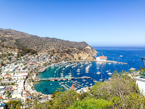 20+ Things To Do On Catalina Island - Avalon