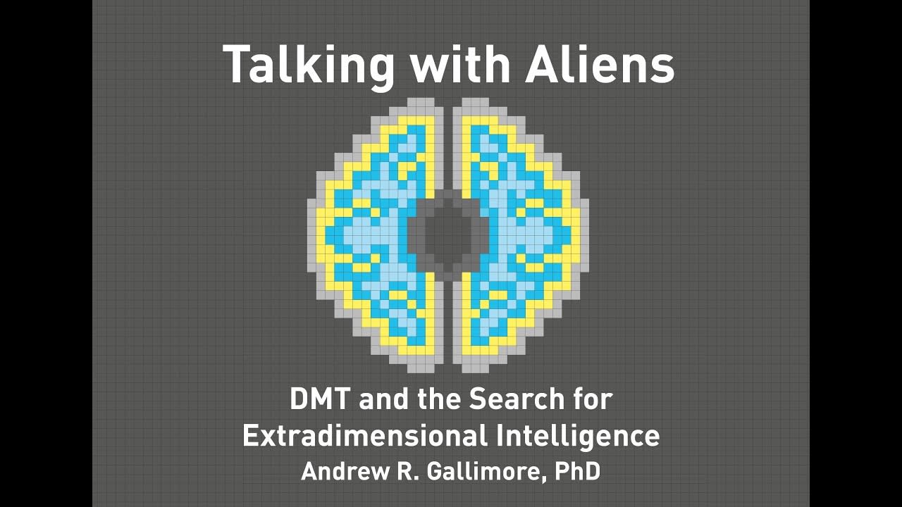 Lecture on DMT entities