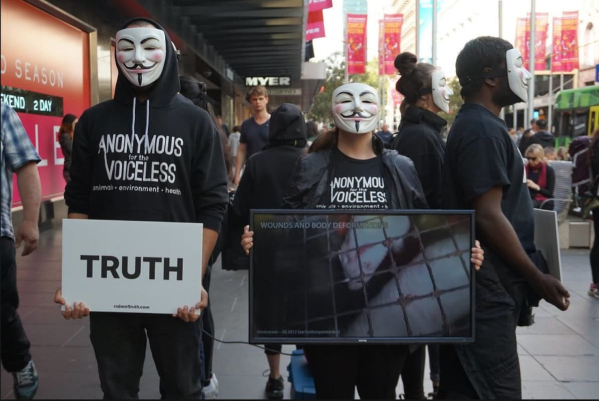 The truth behind Anonymous for the Voiceless