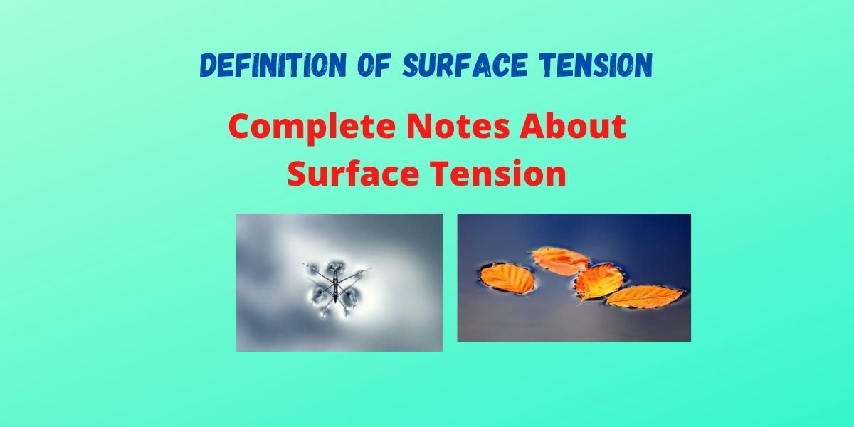 Definition of Surface Tension - Formula, Example & Effect