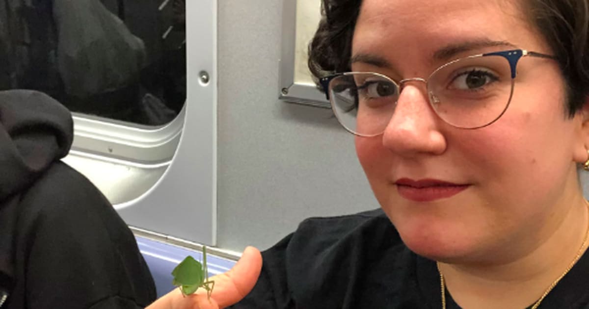 Subway riders befriended a cute little bug on the train