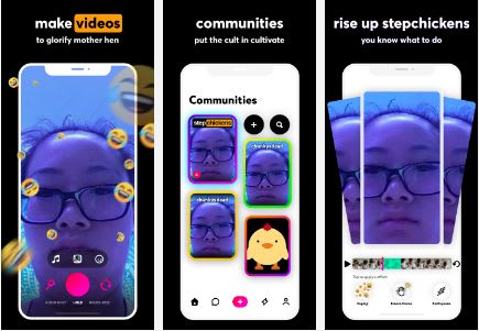 Birds Of A Feather: The Stepchickens Cult On TikTok Is The Next Evolution Of The Influencer Business