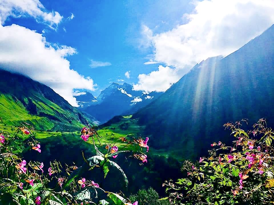 Valley of Flowers and Hemkund Sahib Trek - Check Our Trekking Package