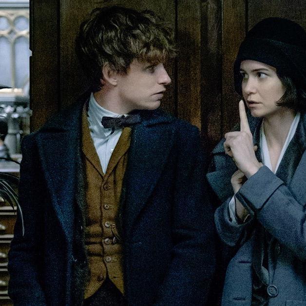 You DEFINITELY Missed Newt Scamander's Cameo in This 'Harry Potter' Film