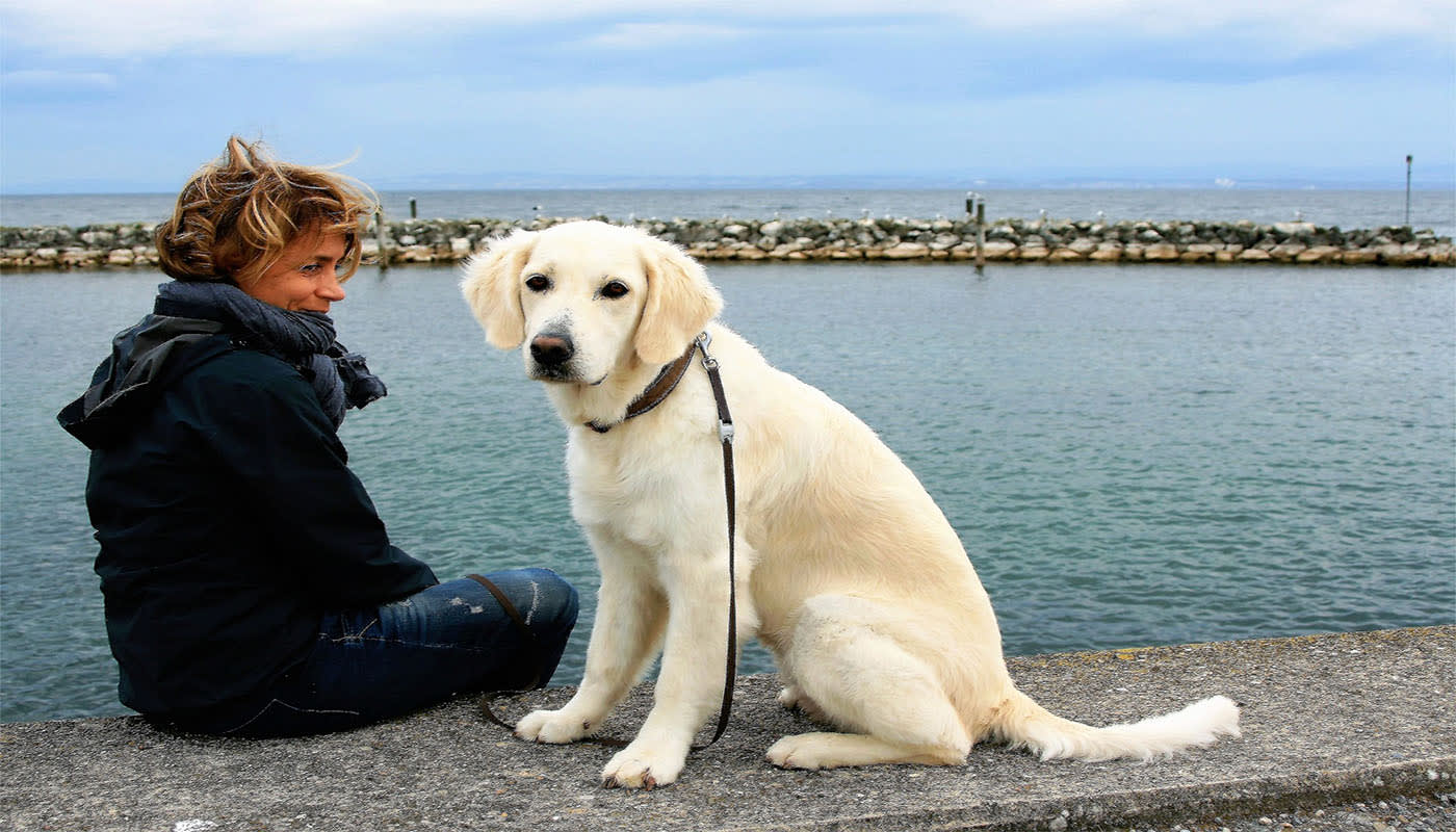 The Best Dog Breeds for People Struggling With Depression