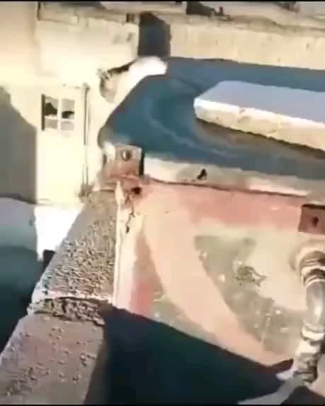 This cat jumps off a roof, lands on another roof unscathed