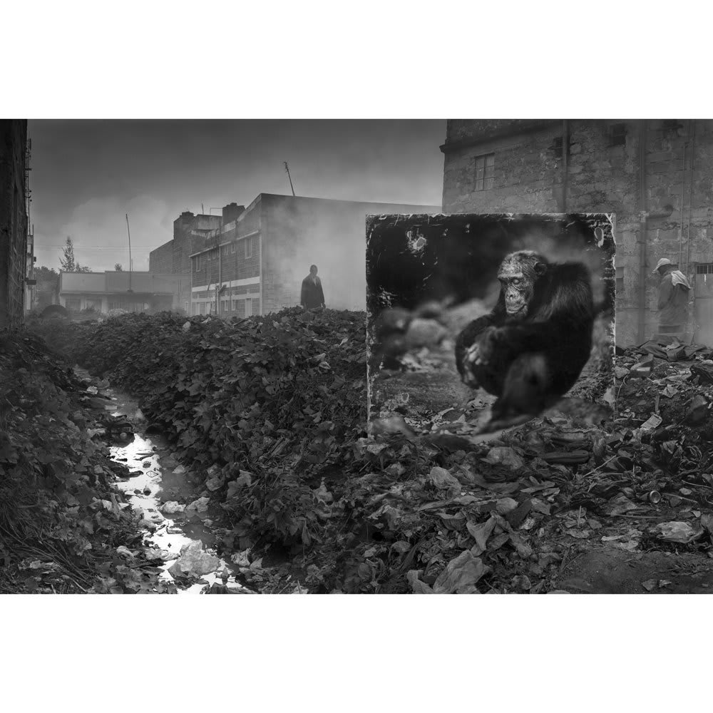 Nick Brandt "Inherit The Dust" closes on Saturday at @photoeyeGallery. Last chance!