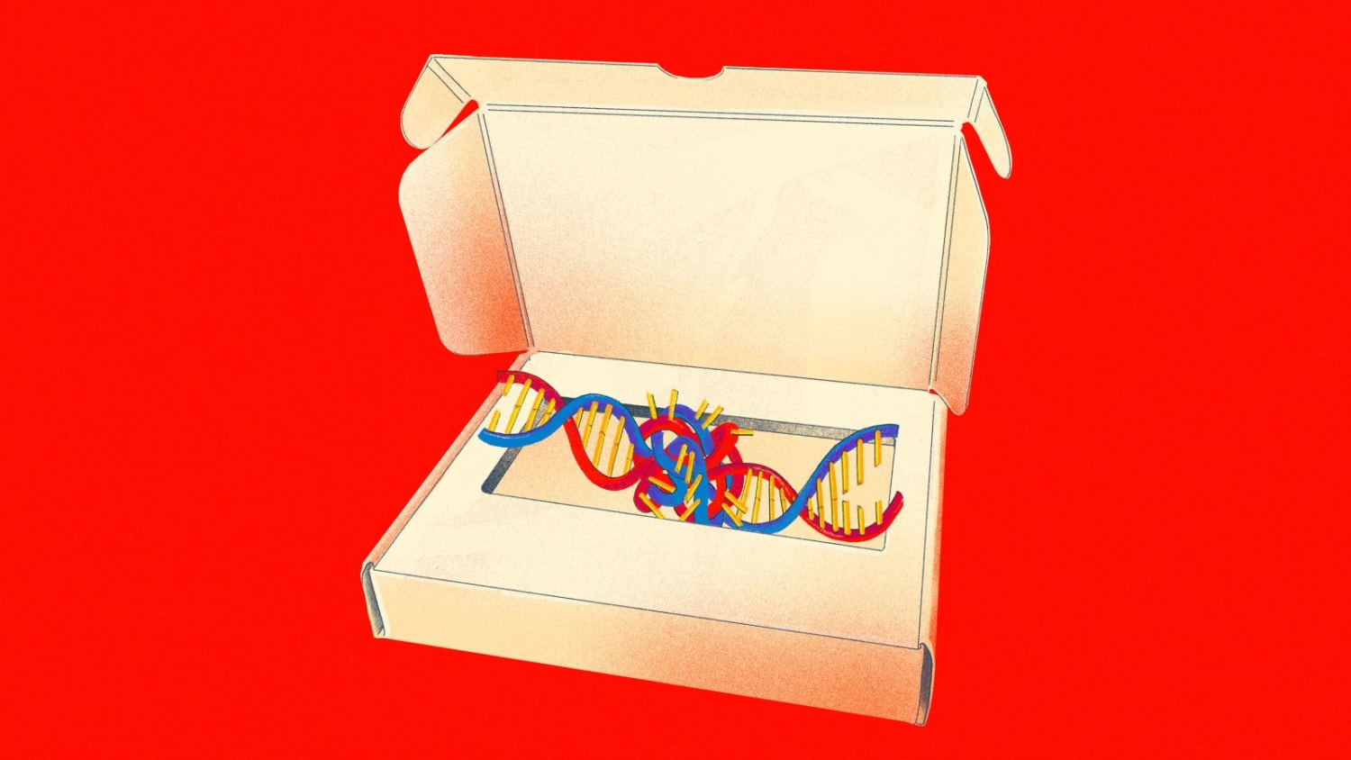 How DNA Testing Botched My Family's Heritage, and Probably Yours, Too