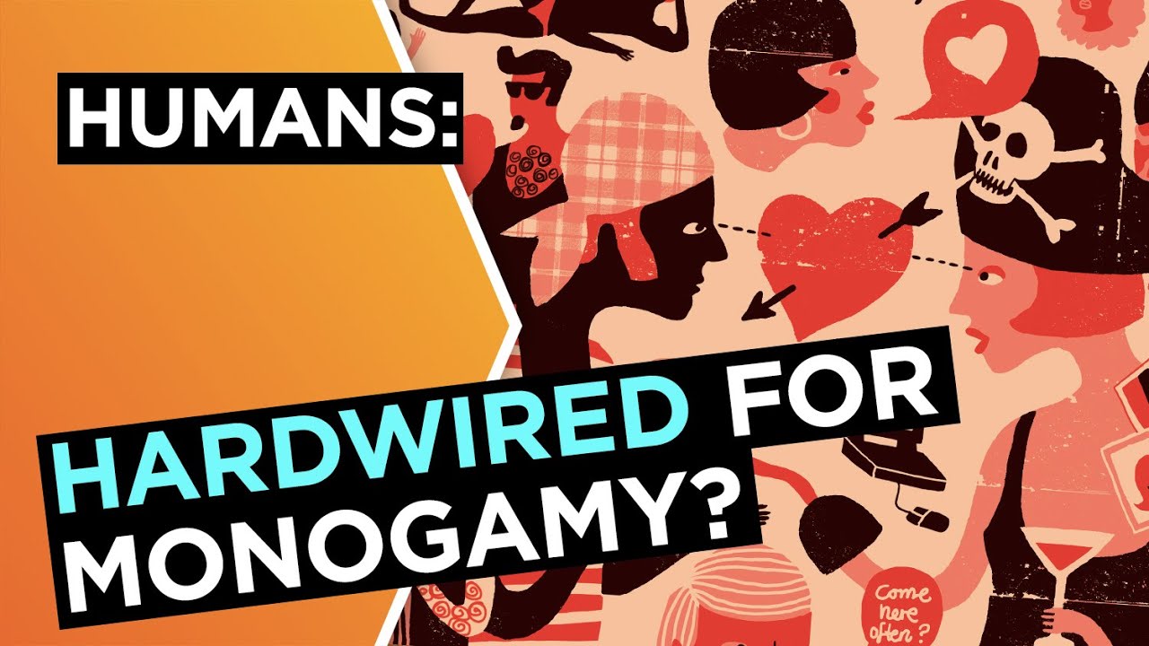 Are humans hardwired for monogamy? | Helen Fisher | Big Think