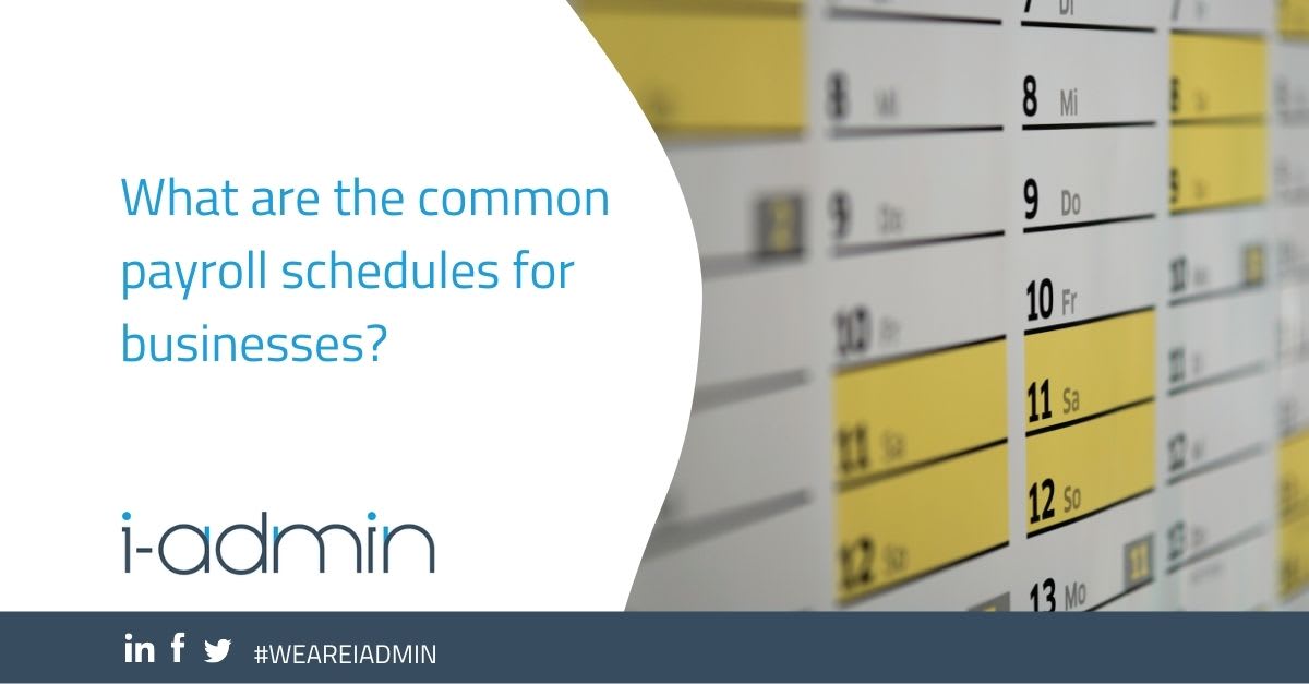 What are the common payroll schedules for businesses?